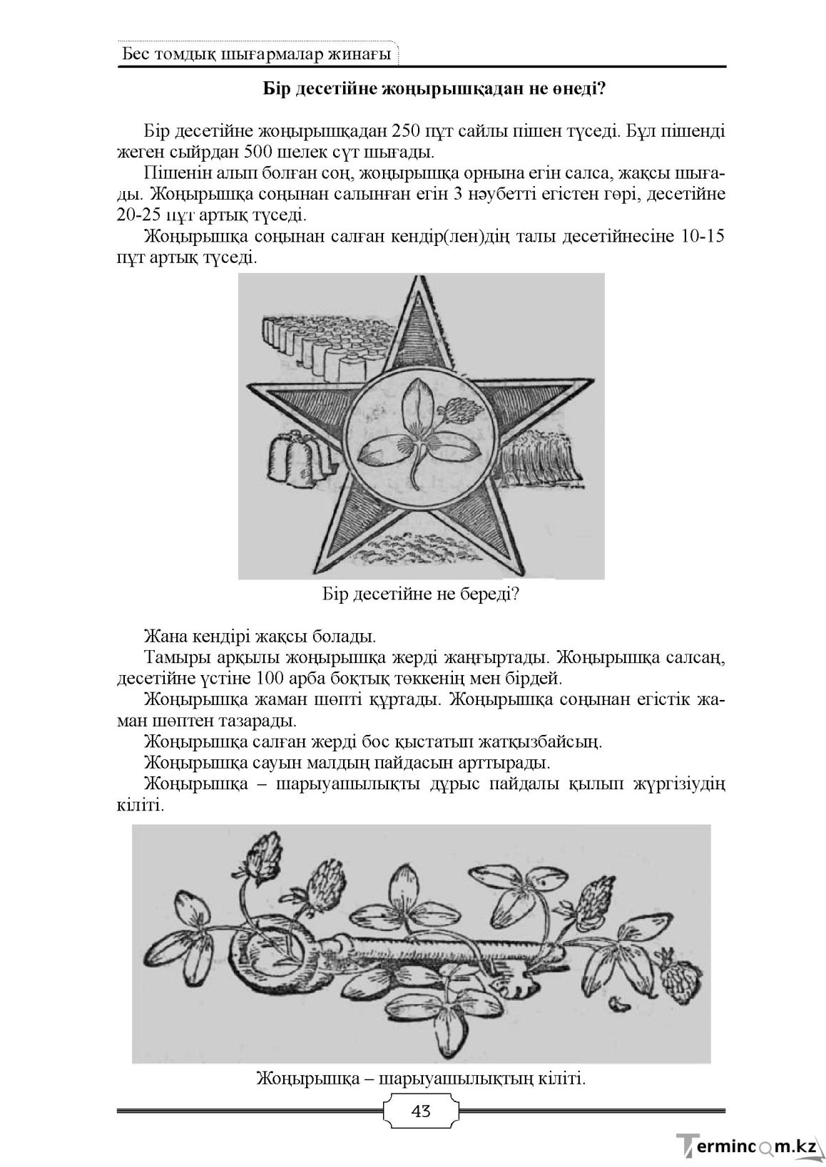 Бет 43
