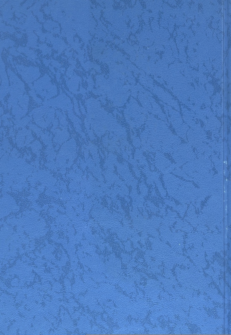 Бет 293