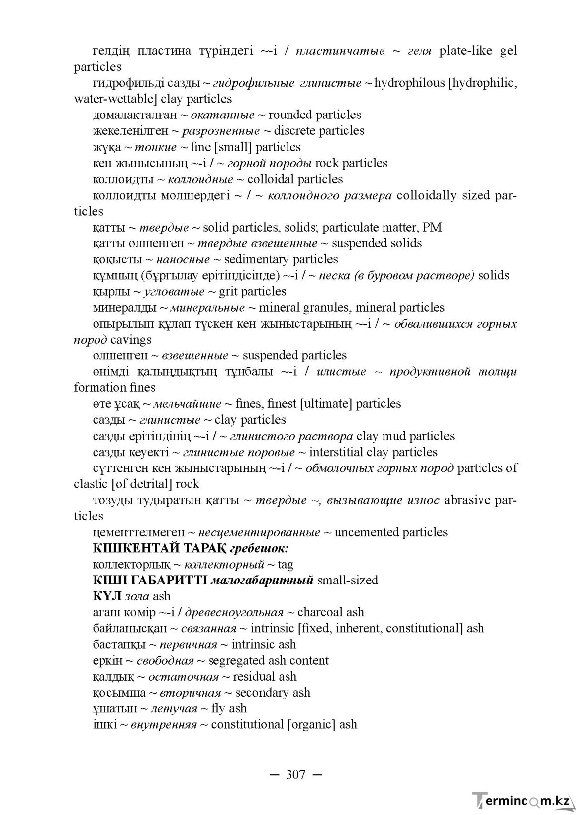 Бет 307