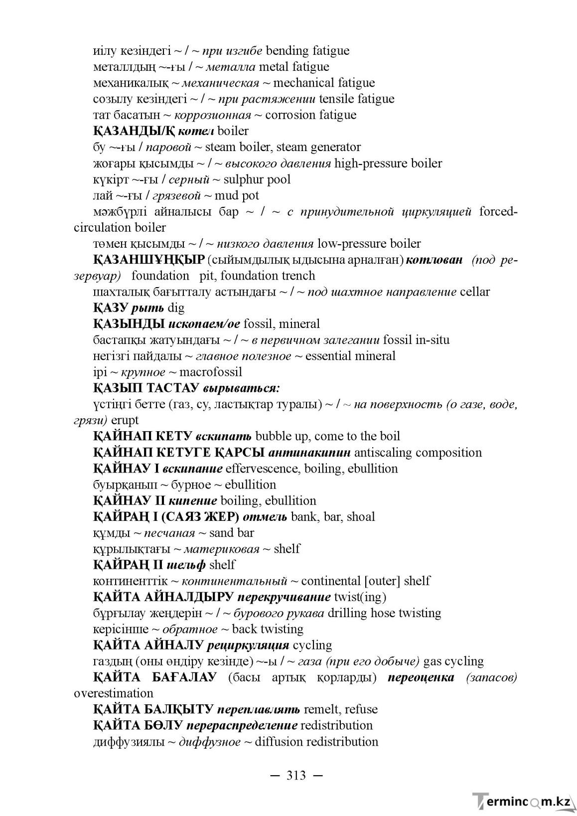 Бет 313