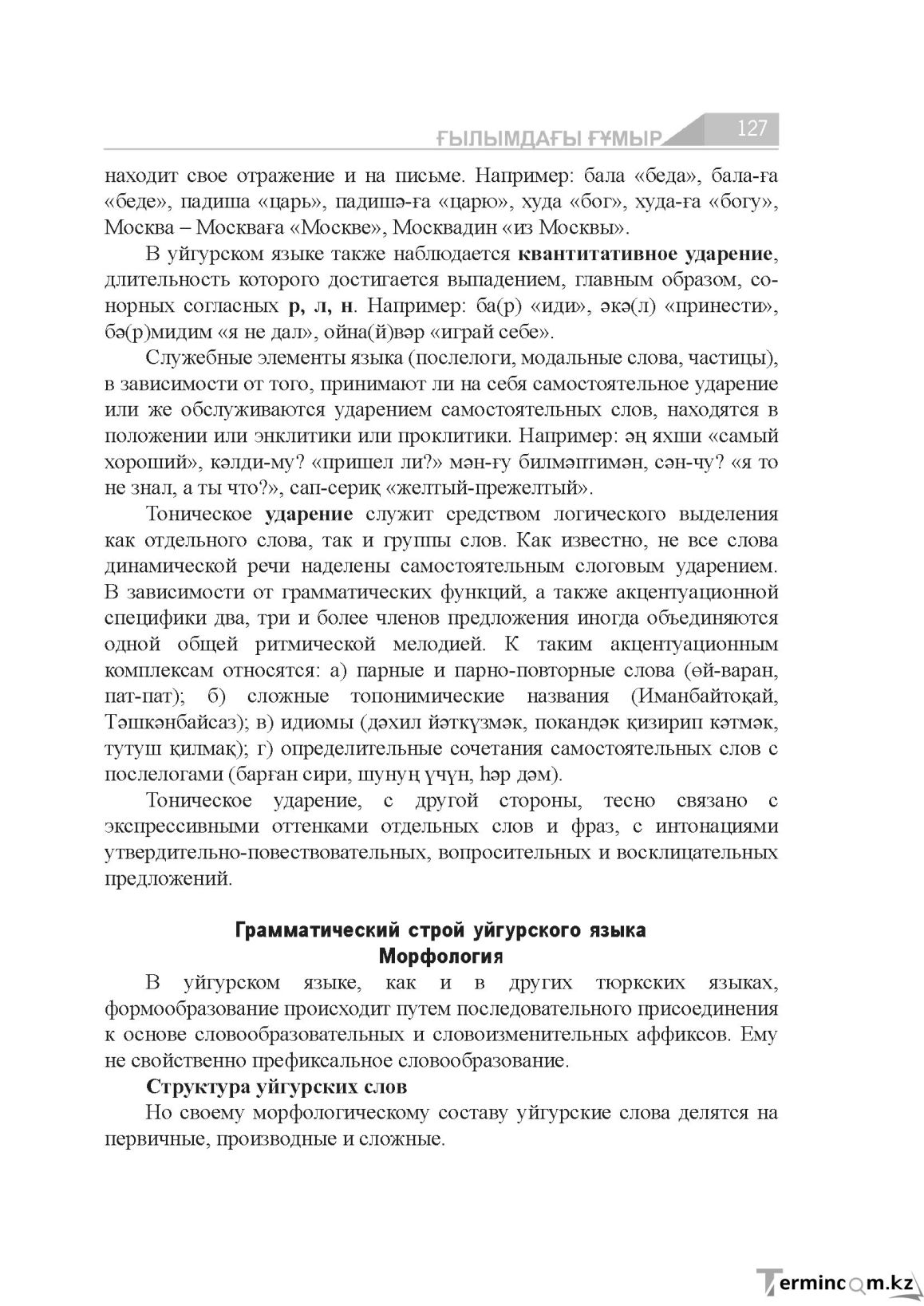 Страница 127