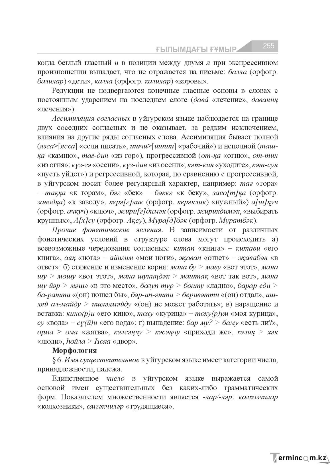 Страница 255