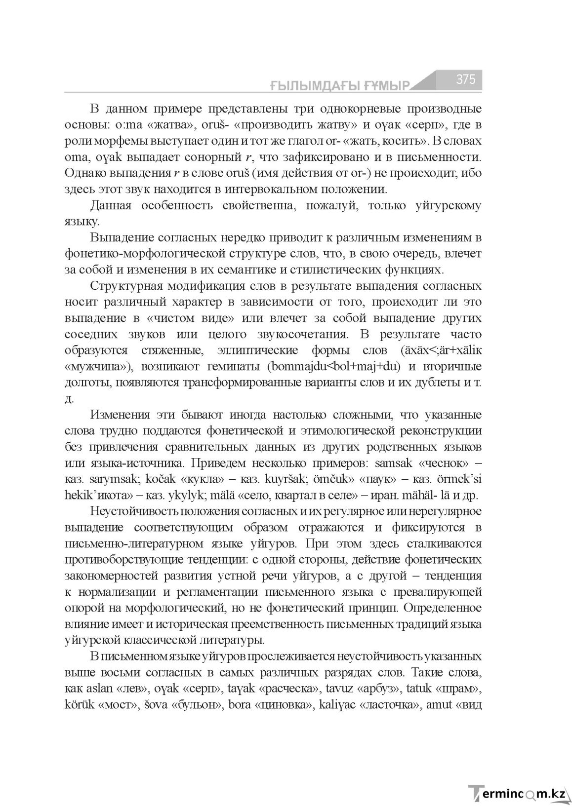 Страница 375