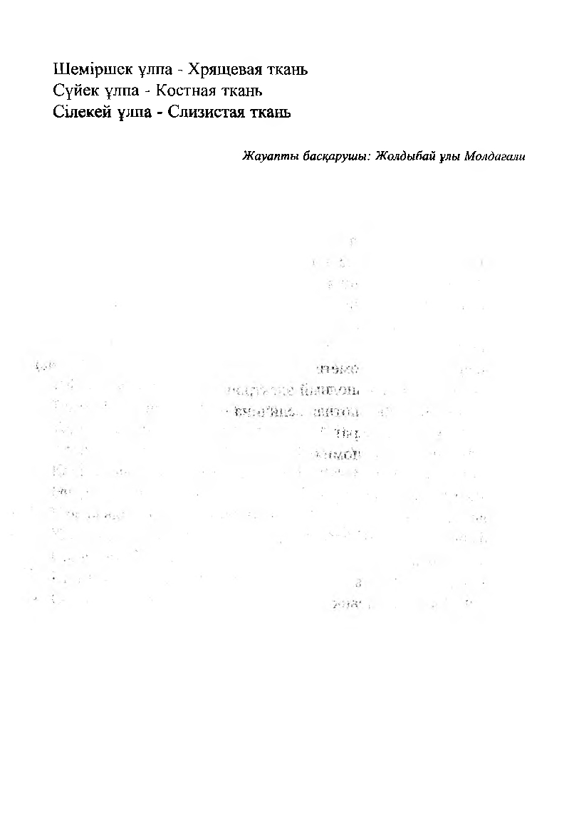 Бет 223