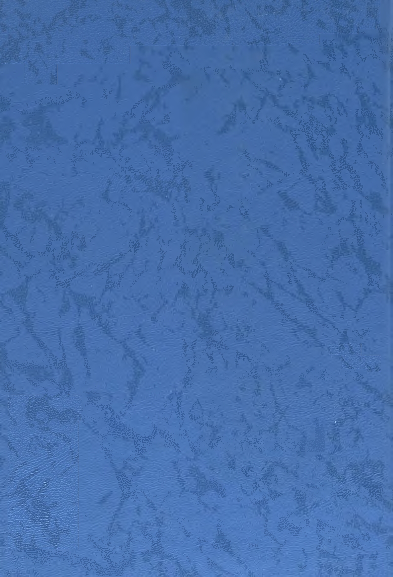 Бет 294