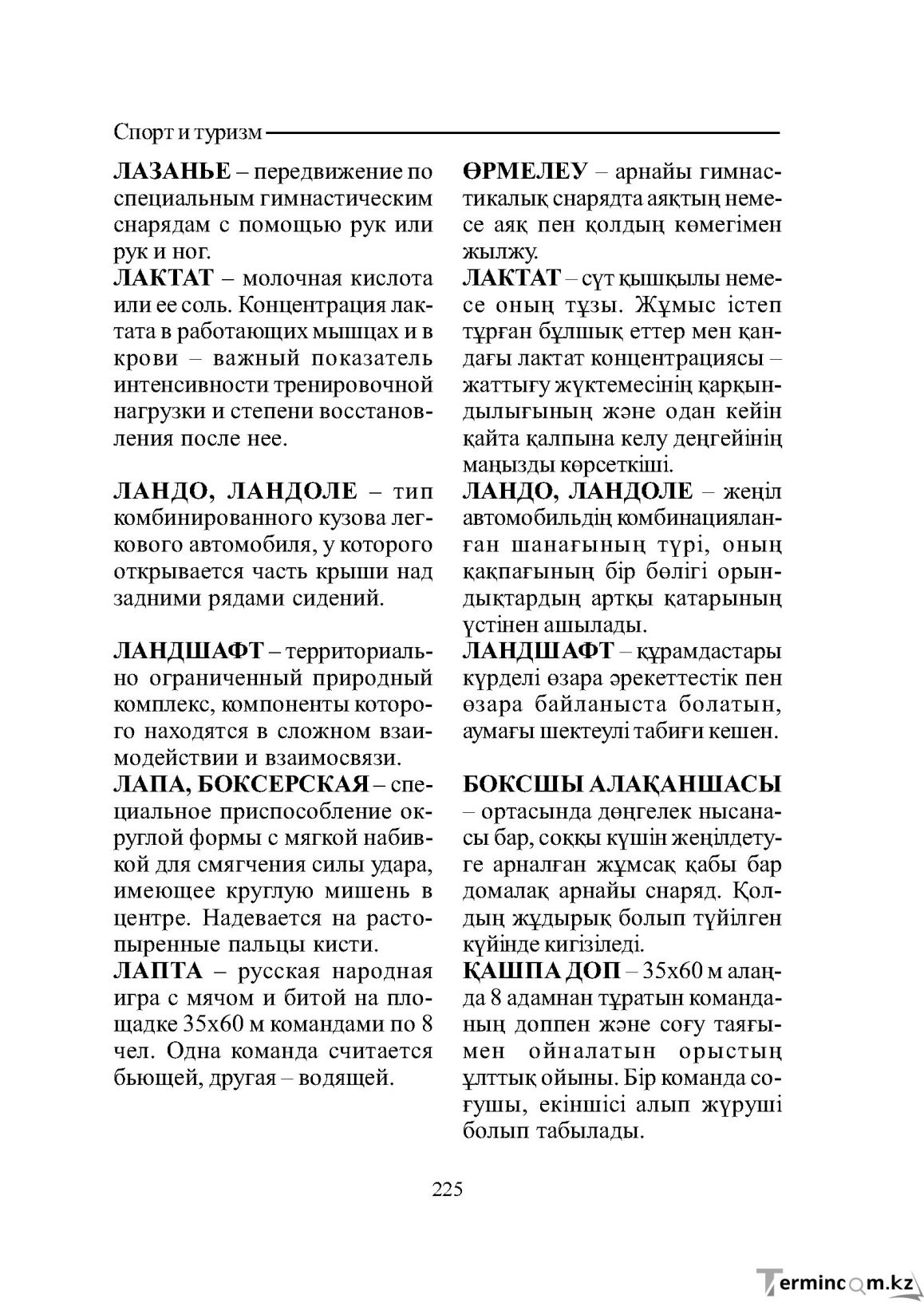 Страница 225