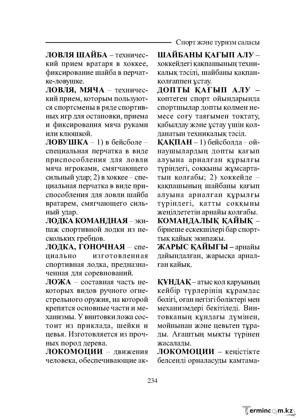 Страница 234