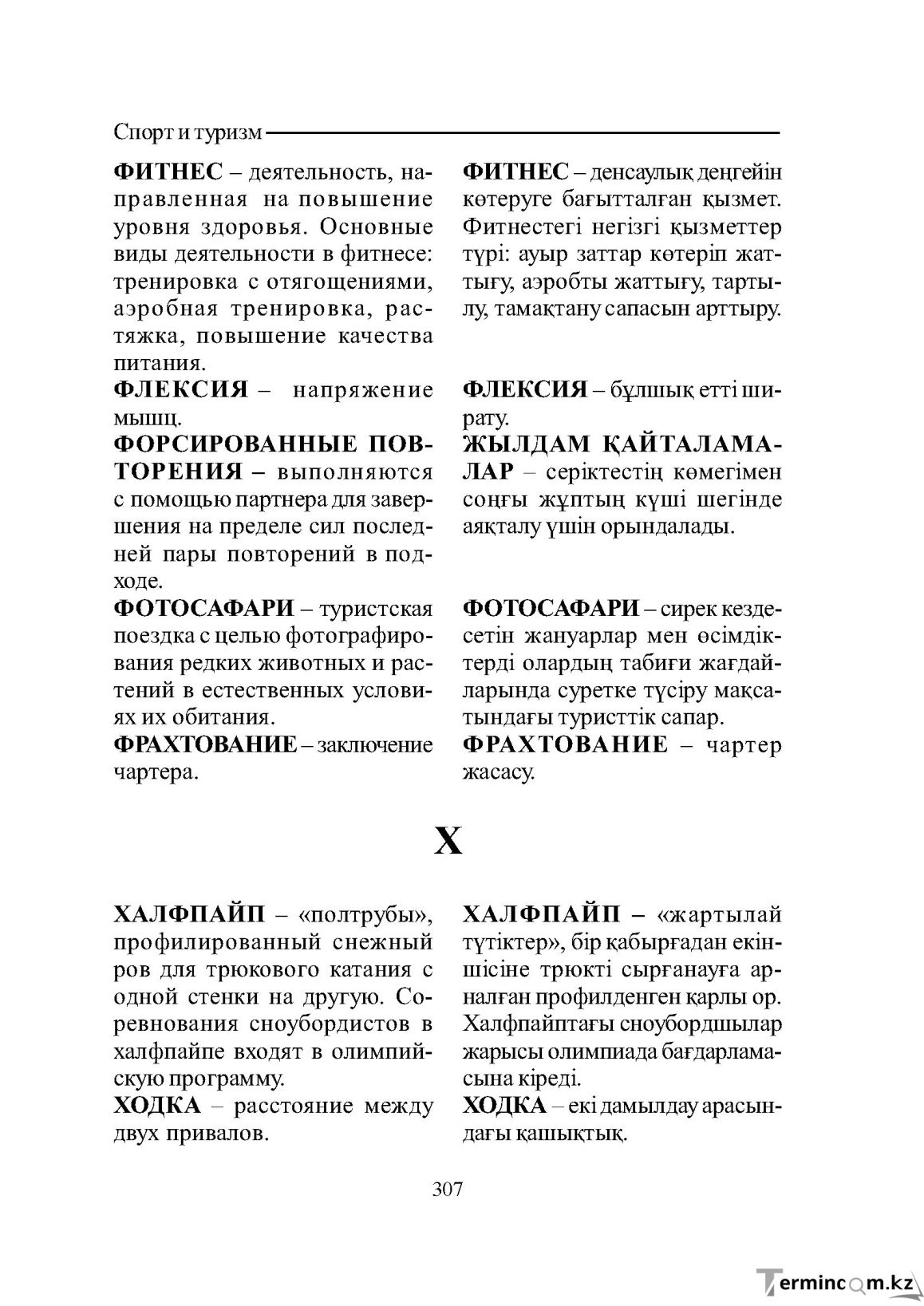Страница 307