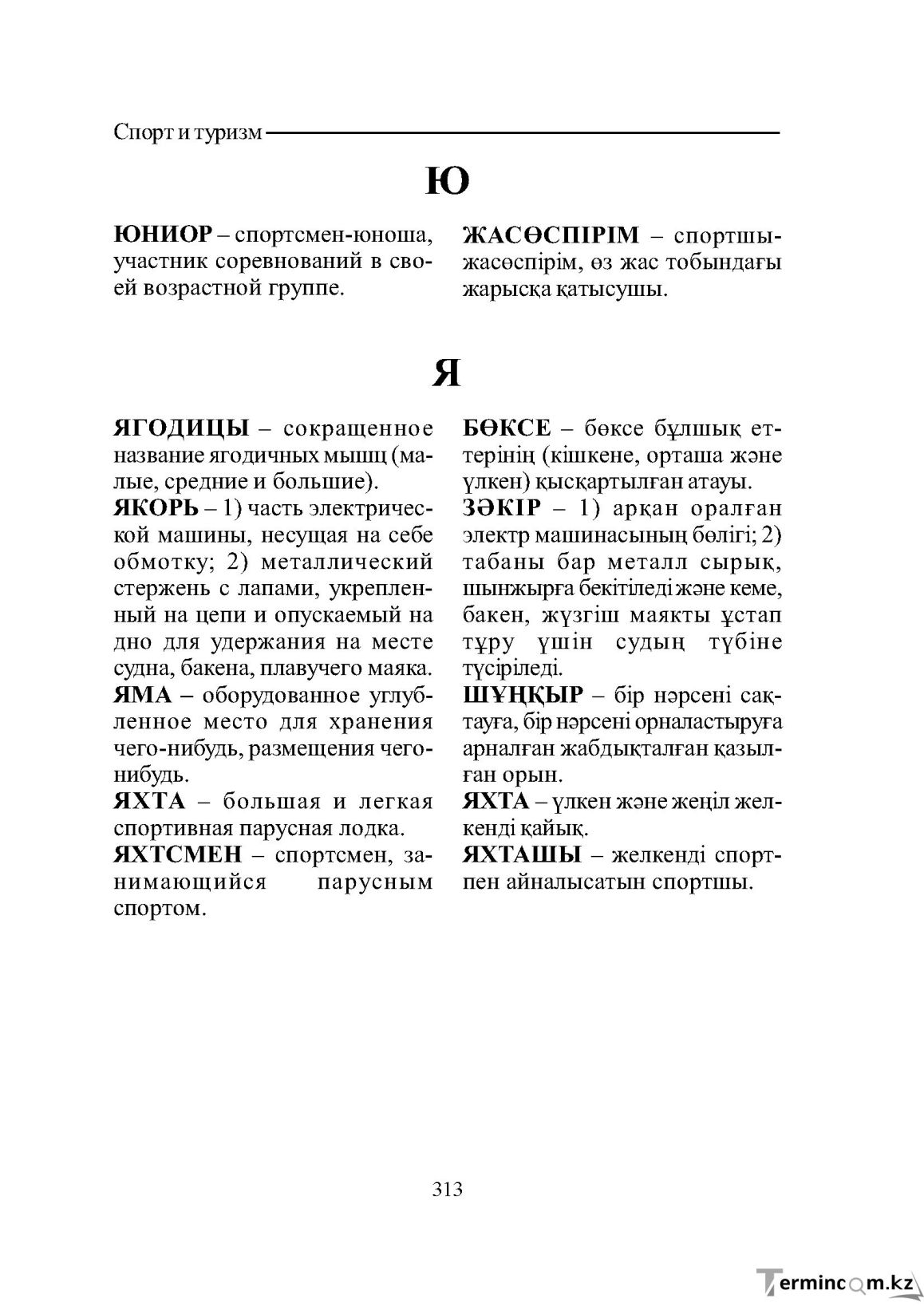 Страница 313