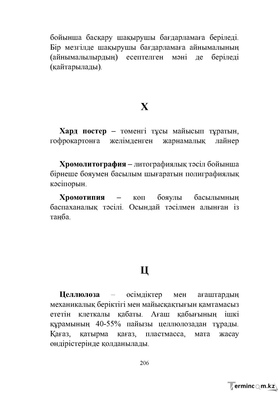 Бет 206